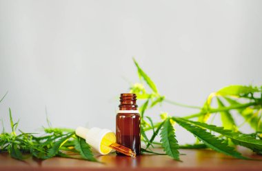 Cbd petrol kenevir özü. Kenevir yağı şişeleri ve kenevir çiçekleri üzerinde w