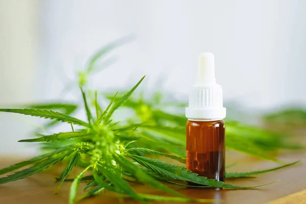 Extracto de cannabis con aceite de CBD. Botellas de aceite de cáñamo y flores de cáñamo en w — Foto de Stock