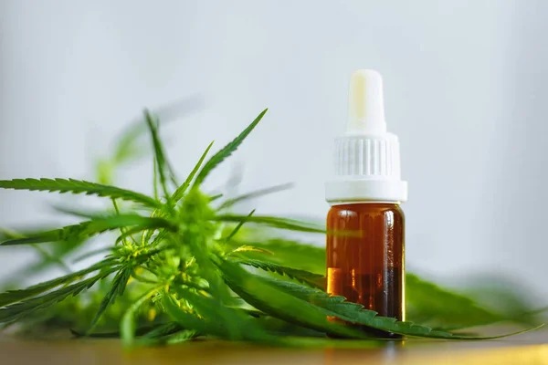 CBD oil cannabis extract. Hemp oil bottles and hemp flowers on w — Stock Photo, Image