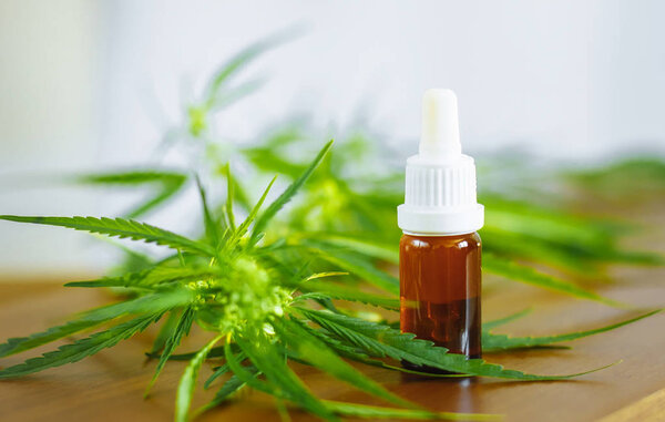 CBD oil cannabis extract. Hemp oil bottles and hemp flowers on w