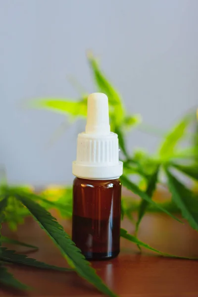 Extracto de cannabis con aceite de CBD. Botellas de aceite de cáñamo y flores de cáñamo en w — Foto de Stock