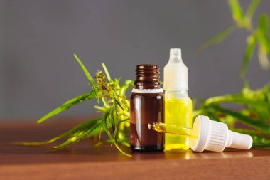 Kavanozdan kenevir bitki bitkisel ilaç Cbd yağı. Cbd petrol şişetl