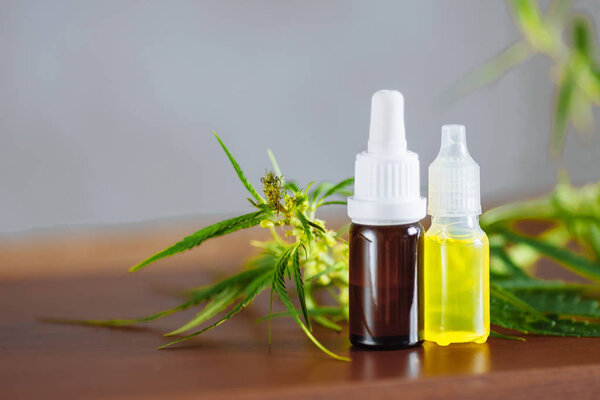 Завод конопли растительное фармацевтическое CBD масло из банки. Бутылка КБР
