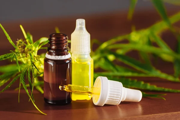 Cannabis plant herbal pharmaceutical CBD oil from jar. Wellness