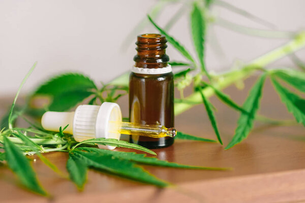 Растение конопли травяные фармацевтические CBD масло из банки. Велнес
 