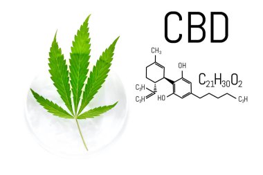 Cbd Kimyasal Formül, esrar yeşil le ile Cbd Esrar krem