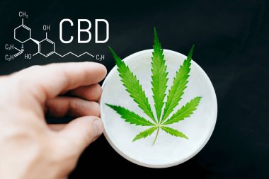 Tıbbi esrar kavramı, kenevir esrar doğal ürünler. Canna