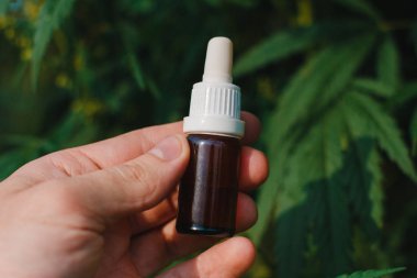 Çalı bir arka plan üzerinde elinde cam bir kavanozda Cbd yağı esrar