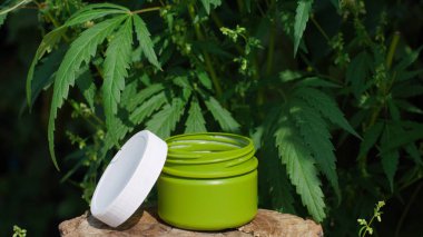 Krem tıbbi kenevir kenevir ve yaprak kannabidiol Cbd. Bitkisel o
