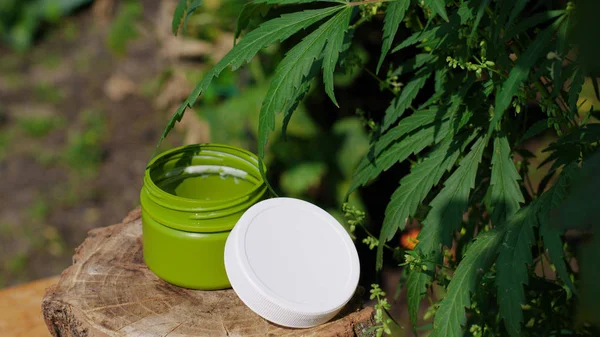 Crema medicinal de cáñamo de cannabis y hoja de cannabidiol CBD. Hierbas — Foto de Stock