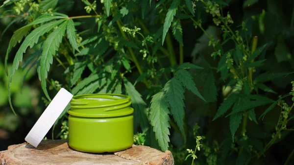 Cream medicinal cannabis hemp and leaf cannabidiol CBD. Herbal o — Stock Photo, Image