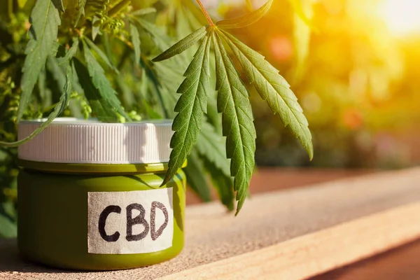 CBD elements in Cannabis, Hemp Cream, medical marijuana, cannabi — Stock Photo, Image