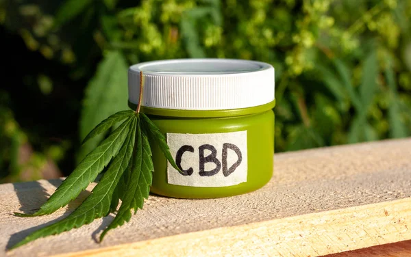 Jar of hemp CBD lotion. Cream from biological and ecological pla