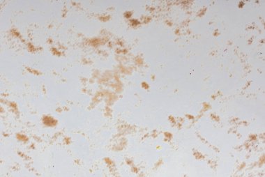 Eski kahverengi sayfa. Eski kağıt dokusu. Geri dönüşüm kağıdının fotoğrafı.