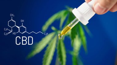 Mavi arkaplanda CBD kenevir damlaları damlatıcıya yakın plan