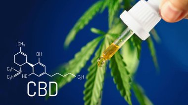 Mavi arkaplanda CBD kenevir damlaları damlatıcıya yakın plan