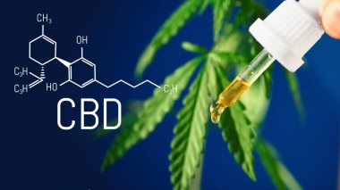 Mavi arkaplanda CBD kenevir damlaları damlatıcıya yakın plan