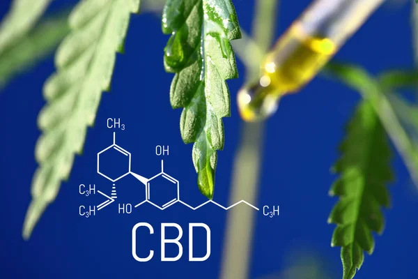 Co je to CBD?