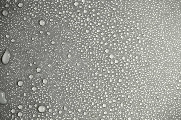 Details Water Droplets Moisture Condensation Hot Water Vapor Condensation Neutral — Stock Photo, Image