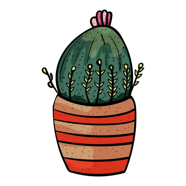 Plante de la famille des succulents. Cactus dans un pot à rayures. - Vecteur . — Image vectorielle