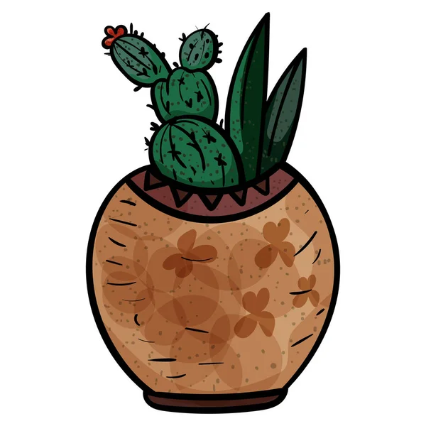 Kvetoucí kaktusy. Květinka na kaktus. -Vektor. — Stockový vektor