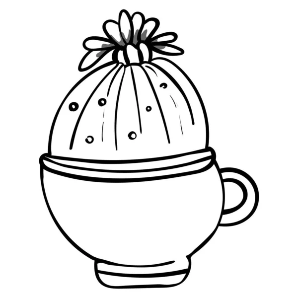 Cacto num vaso de flores. Ilustração botânica para colorir. Colorir para crianças e adultos - Vetor — Vetor de Stock