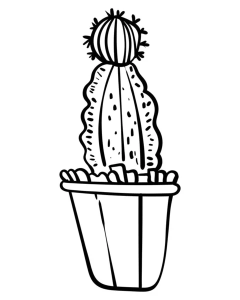 Cactus in un vaso di fiori. Illustrazione botanica per la colorazione. Colorazione per bambini e adulti - Vettore — Vettoriale Stock