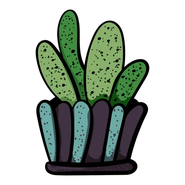 Kaktusy Konvici Botanická Ilustrace Sukulentní Rostlina Skandinávský Styl Pohodlí Domě — Stockový vektor