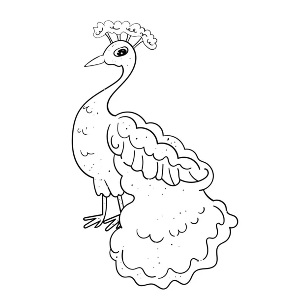 有皇家尾巴的可爱的鸟孔雀 婚礼和其他活动的节庆图解 用手绘的矢量图解 着色说明 — 图库矢量图片