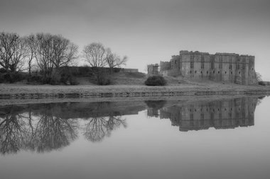Carew Castle & ağaçlar su yansıtan