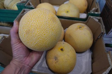 Süpermarketteki bir kutudan olgun, dokulu bir kavunu seçen bir elin yakın çekimi tazeliği ve tercihi vurguluyor.