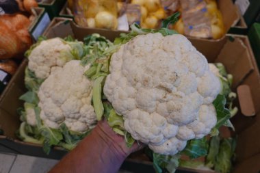 Elinde taze beyaz karnabahar, süpermarkette yeşil yapraklar ve arka planda soğanlar var.