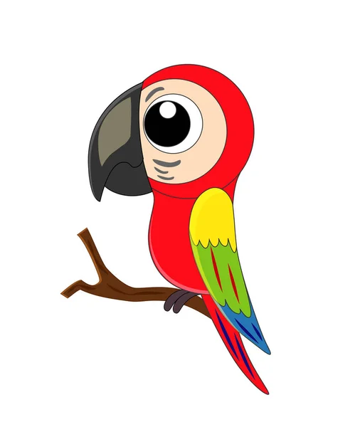 Cute cartoon parrot vector illustration isolated on white backgr — Stock Vector