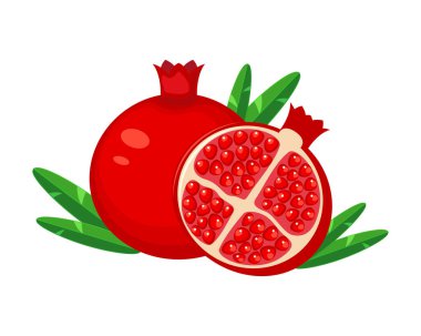 Guicy kırmızı nar meyve whith yaprak vektör çizim. ISO