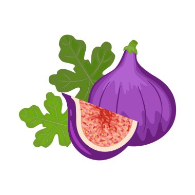 Renkli bütün ve dilim incir yeşil yaprak. Vektör illustrati