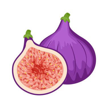 Renkli tam ve yarım incir. Vektör illüstrasyon izole w