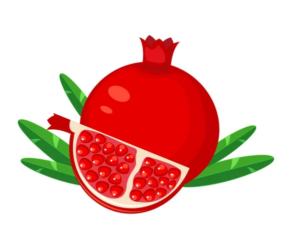 Червоний гранат фрукти і скибочка гранат Векторні ілюстрації — стоковий вектор