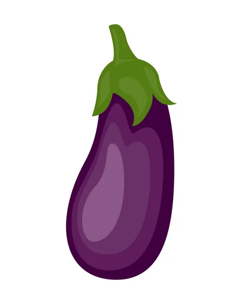 Illustration vectorielle d'aubergine colorée isolée sur fond blanc — Image vectorielle