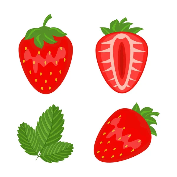 Set of red strawberry berryes whole, half and leaf vector illust — Stock Vector