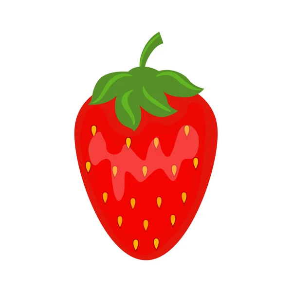 Colorful juicy red strawberry vector illustration isolated on wh — Stock Vector