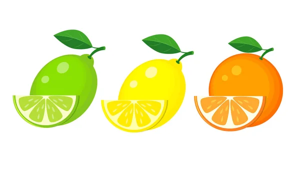 Set of lemon, lime and orange with slices and green leaf. Vector — Stock Vector