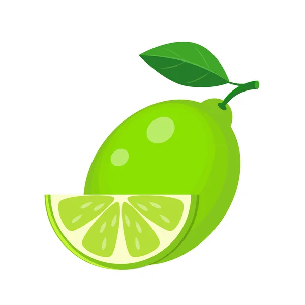 Juicy lime with green leaf and lime slice vector illustration is — Stock Vector