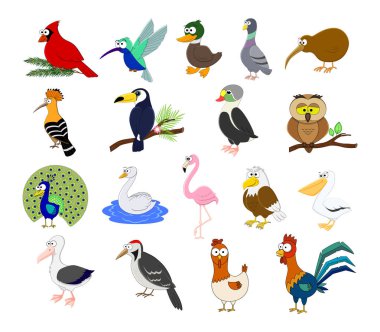 Farklı karikatür kuş vektör illüstrasyon izole büyük kümesi 