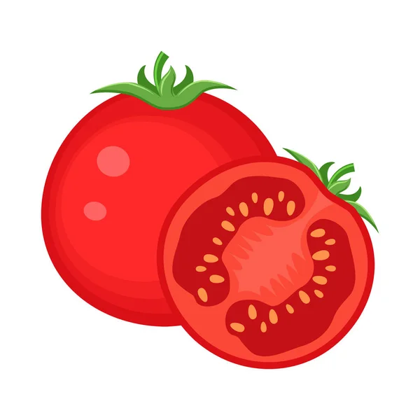 Colorido tomate entero y medio rojo vector vegetal illustratio — Vector de stock