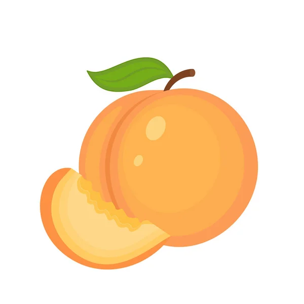 Guicy persika frukt whith gröna blad och persika slice vektor Ilus — Stock vektor