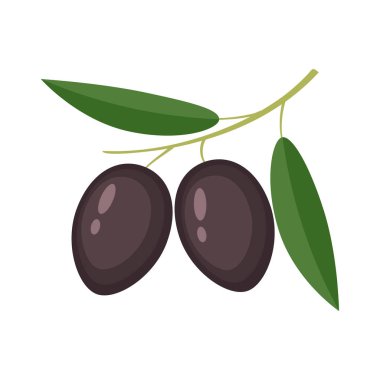 Resimde isol renkli siyah zeytin yeşil yaprakları ile vektör