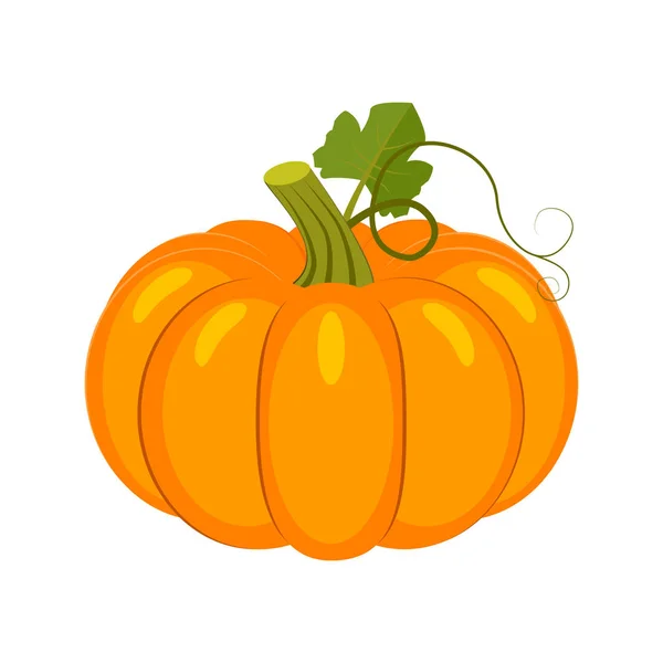 Pumpkin icon cartoon. Single plant icon from the big farm, garden ...