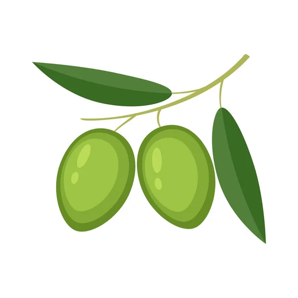 Olives colorées avec des feuilles vertes illustration vectorielle isolé o — Image vectorielle