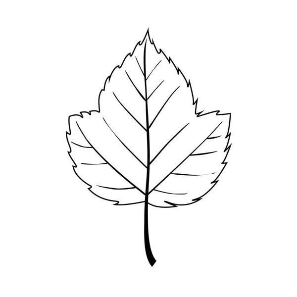 Leaf line art. Dibujo de contorno. Minimalismo arte. Ilustración vectorial — Vector de stock