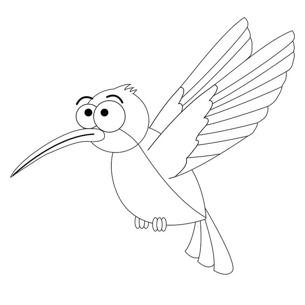 Incolore drôle de dessin animé colibri . — Image vectorielle